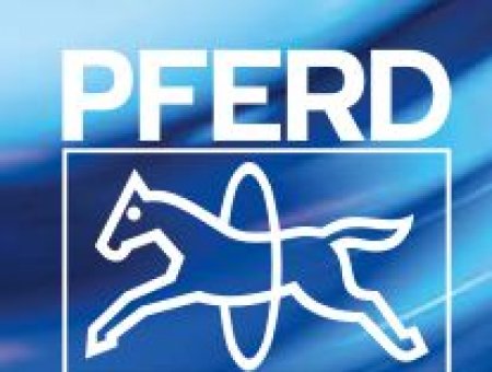 PFERD 马圈打磨工具